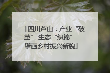 四川芦山：产业“破茧” 生态“织锦” 擘画乡村振兴新貌