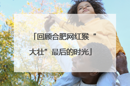 回顾合肥网红猴“大壮”最后的时光
