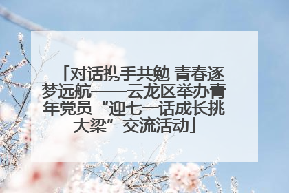 对话携手共勉 青春逐梦远航——云龙区举办青年党员“迎七一话成长挑大梁”交流活动