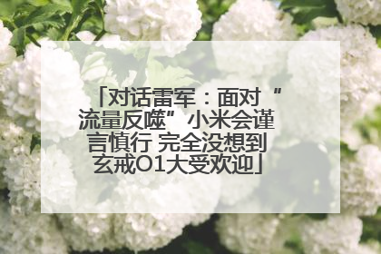 对话雷军：面对“流量反噬”小米会谨言慎行 完全没想到玄戒O1大受欢迎