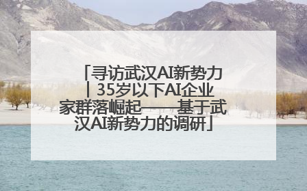 寻访武汉AI新势力︱35岁以下AI企业家群落崛起——基于武汉AI新势力的调研