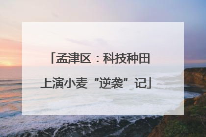 孟津区：科技种田 上演小麦“逆袭”记