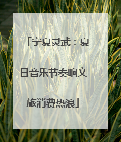 宁夏灵武：夏日音乐节奏响文旅消费热浪