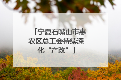 宁夏石嘴山市惠农区总工会持续深化“产改”