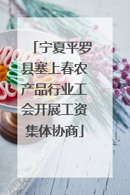 宁夏平罗县塞上春农产品行业工会开展工资集体协商