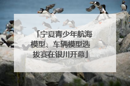 宁夏青少年航海模型、车辆模型选拔赛在银川开幕