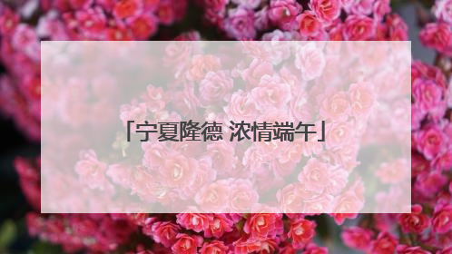 宁夏隆德 浓情端午