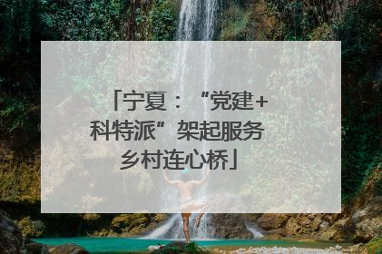 宁夏：“党建+科特派”架起服务乡村连心桥