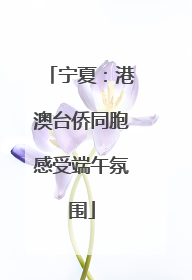 宁夏：港澳台侨同胞感受端午氛围