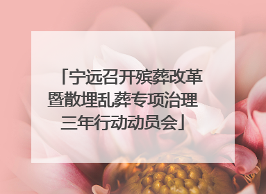 宁远召开殡葬改革暨散埋乱葬专项治理三年行动动员会