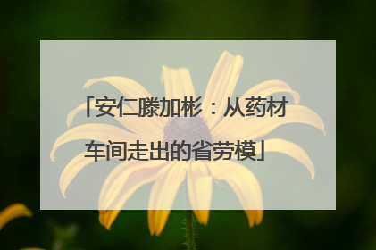 安仁滕加彬：从药材车间走出的省劳模