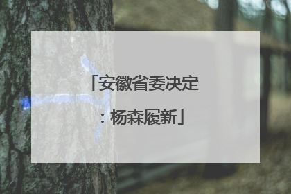 安徽省委决定：杨森履新