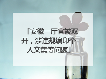 安徽一厅官被双开，涉违规编印个人文集等问题