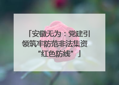 安徽无为：党建引领筑牢防范非法集资“红色防线”