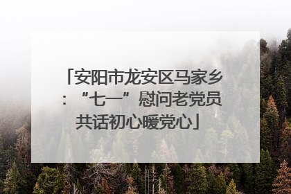 安阳市龙安区马家乡：“七一”慰问老党员 共话初心暖党心