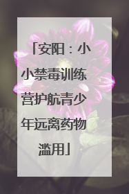 安阳：小小禁毒训练营护航青少年远离药物滥用