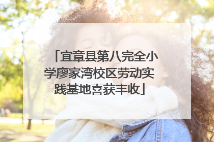 宜章县第八完全小学廖家湾校区劳动实践基地喜获丰收