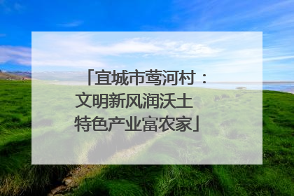宜城市莺河村：文明新风润沃土 特色产业富农家