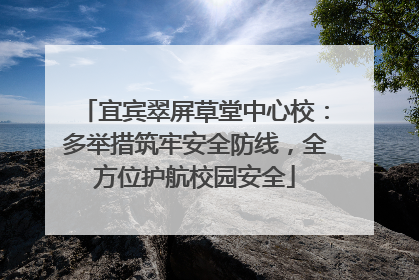 宜宾翠屏草堂中心校：多举措筑牢安全防线，全方位护航校园安全