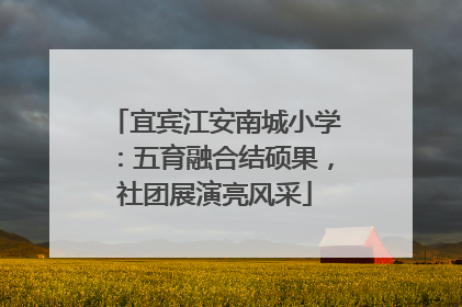 宜宾江安南城小学：五育融合结硕果，社团展演亮风采