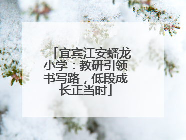 宜宾江安蟠龙小学：教研引领书写路，低段成长正当时