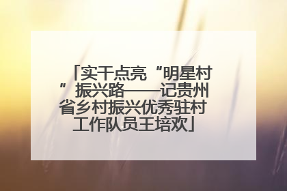 实干点亮“明星村”振兴路——记贵州省乡村振兴优秀驻村工作队员王培欢