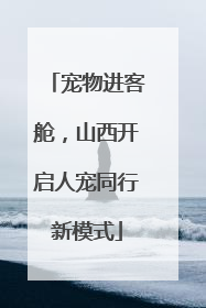 宠物进客舱，山西开启人宠同行新模式