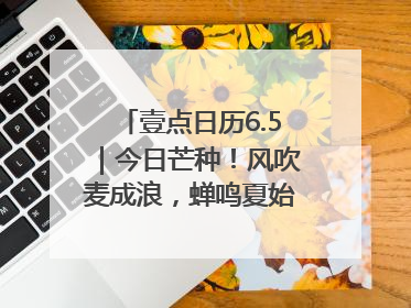 壹点日历6.5｜今日芒种！风吹麦成浪，蝉鸣夏始忙！大家早安