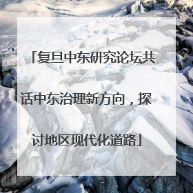 复旦中东研究论坛共话中东治理新方向，探讨地区现代化道路
