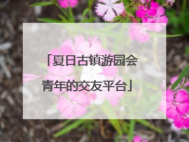 夏日古镇游园会 青年的交友平台