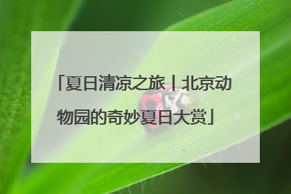 夏日清凉之旅丨北京动物园的奇妙夏日大赏