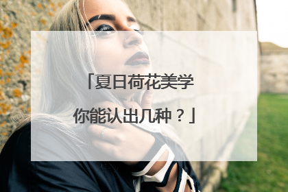 夏日荷花美学 你能认出几种？