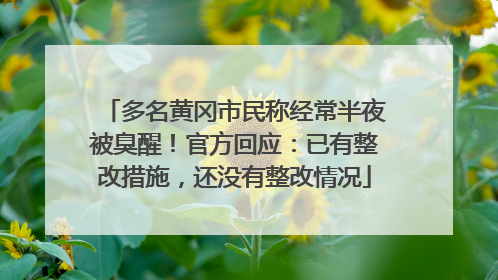 多名黄冈市民称经常半夜被臭醒！官方回应：已有整改措施，还没有整改情况