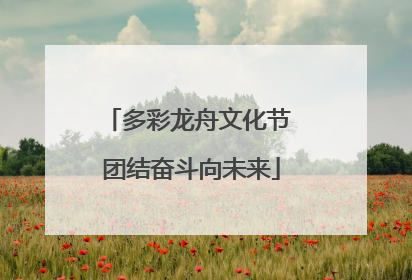 多彩龙舟文化节 团结奋斗向未来