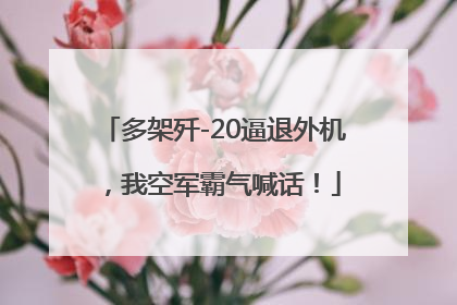 多架歼-20逼退外机，我空军霸气喊话！