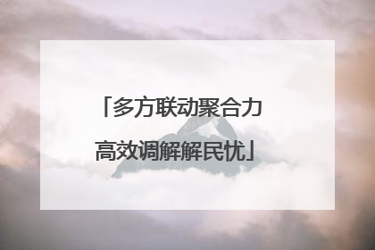 多方联动聚合力 高效调解解民忧