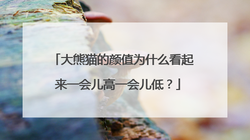 大熊猫的颜值为什么看起来一会儿高一会儿低？