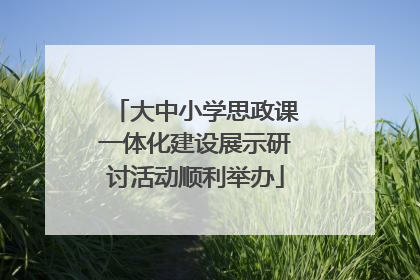 大中小学思政课一体化建设展示研讨活动顺利举办