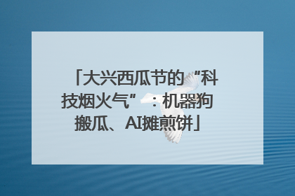 大兴西瓜节的“科技烟火气”：机器狗搬瓜、AI摊煎饼