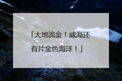 大地流金！威海还有片金色海洋！