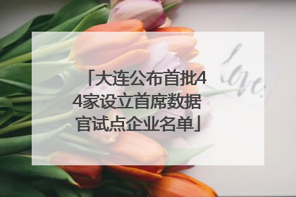 大连公布首批44家设立首席数据官试点企业名单
