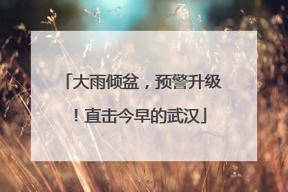 大雨倾盆，预警升级！直击今早的武汉