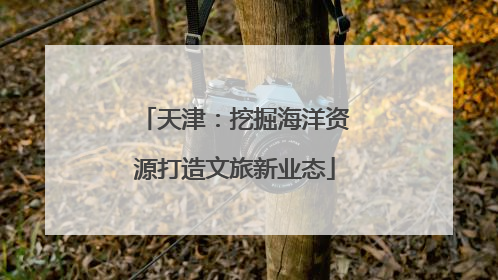 天津：挖掘海洋资源打造文旅新业态