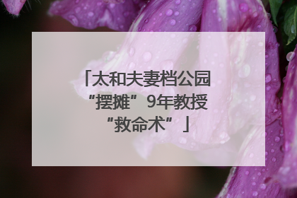 太和夫妻档公园“摆摊”9年教授“救命术”