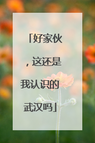 好家伙，这还是我认识的武汉吗