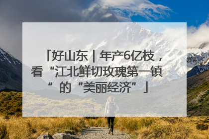 好山东｜年产6亿枝，看“江北鲜切玫瑰第一镇”的“美丽经济”