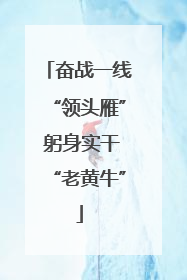 奋战一线“领头雁” 躬身实干“老黄牛”
