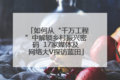 如何从“千万工程”中解锁乡村振兴密码  17家媒体及网络大V探访蓝田