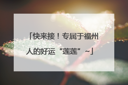 快来接！专属于福州人的好运“莲莲”~