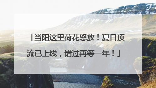 当阳这里荷花怒放！夏日顶流已上线，错过再等一年！